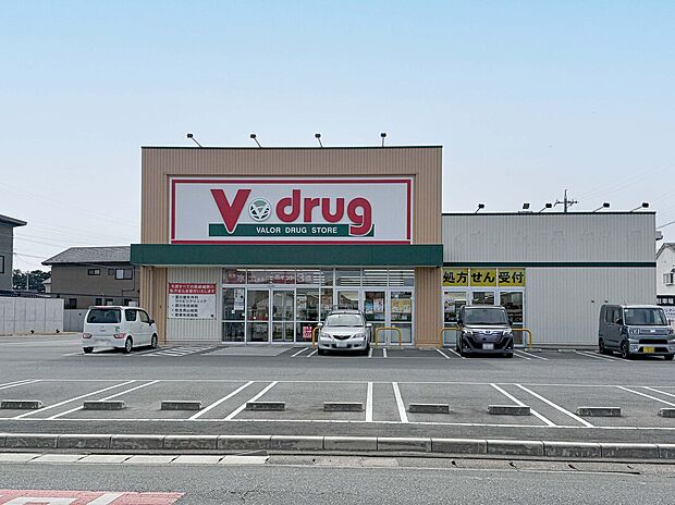Vdrug豊川下長山店(約260m)