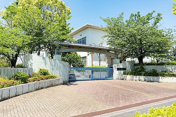 緑丘小学校（約1,650m）