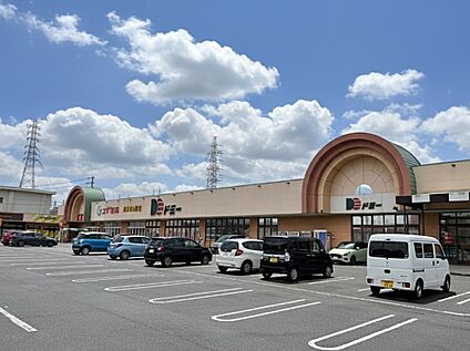 ドミー幸田町店・スギ薬局幸田店 823m(徒歩11分)