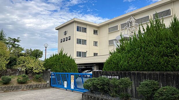 豊田市立梅坪台中学校（約1m）