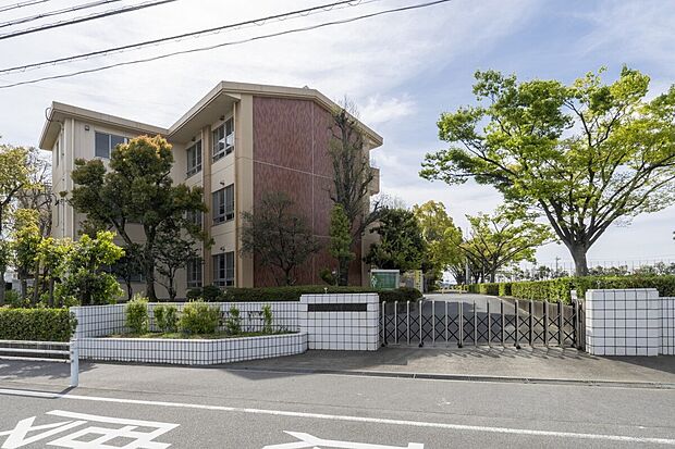 朝日小学校(約610m)