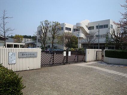 霧が丘義務教育学校 1200ｍ(徒歩15分)