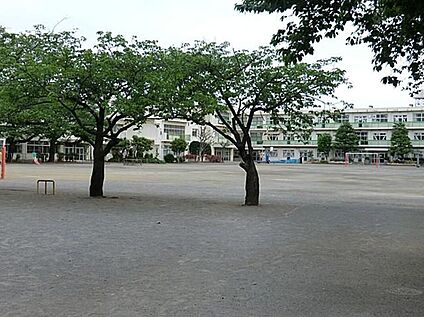 町田市立町田第六小学校 484m(徒歩7分)