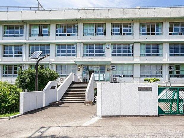 稲城市立稲城第二中学校(約800m)