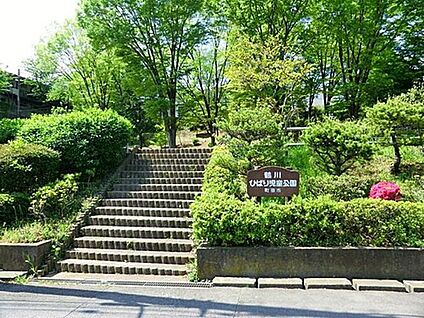 鶴川ひばり児童公園 2200m(徒歩28分)