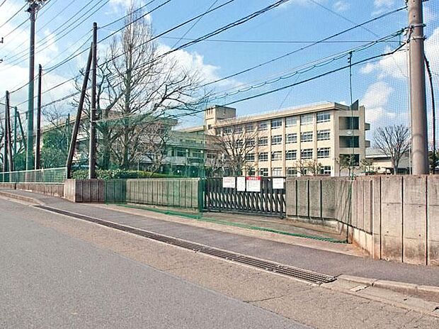 相模原市立若草中学校（約500m）