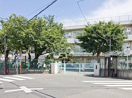 町田市立町田第五小学校 900m(徒歩12分)