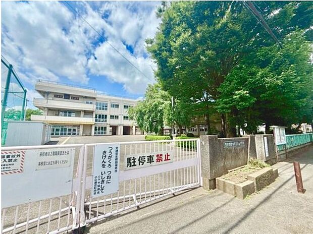 町田市立小山小学校（約800m）