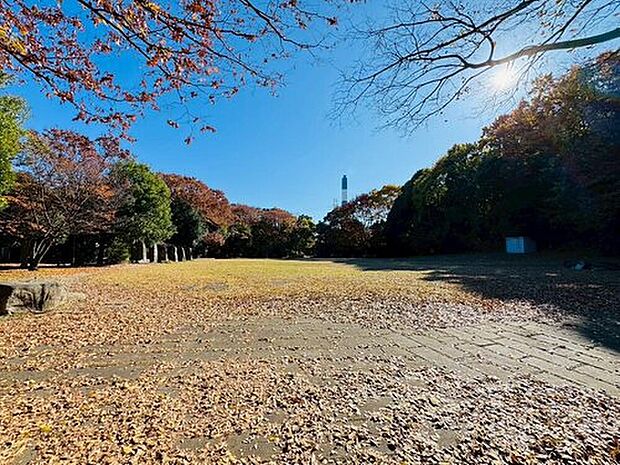 葛ヶ谷公園（約280m）