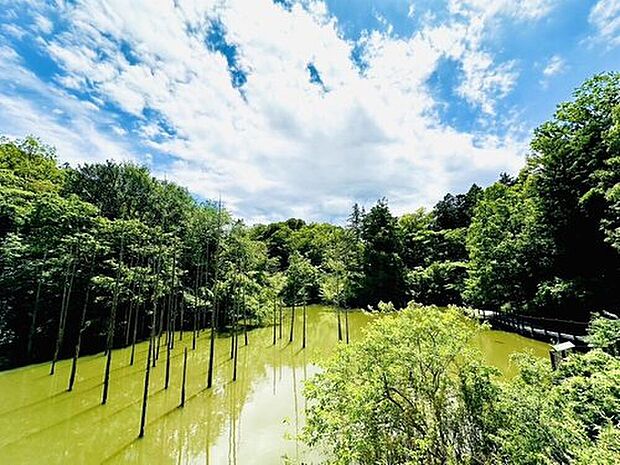 小山内裏公園(約850m)