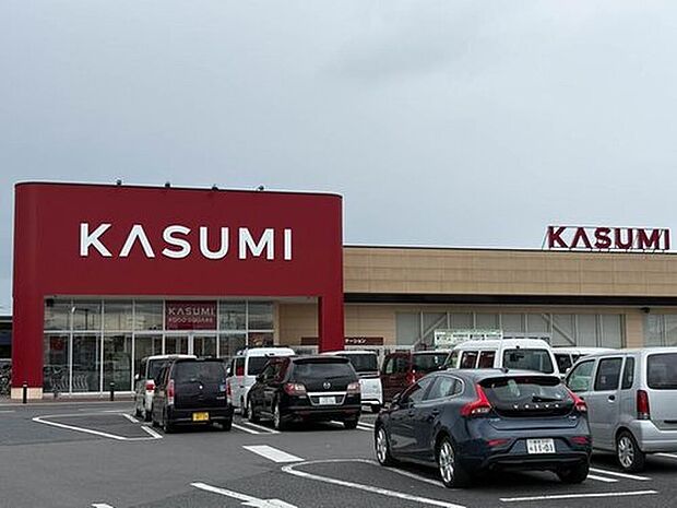 カスミフードスクエア越谷大袋店(約350m)