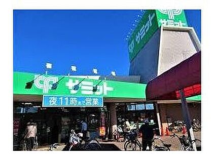サミットストア太田窪店 1000m(徒歩13分)