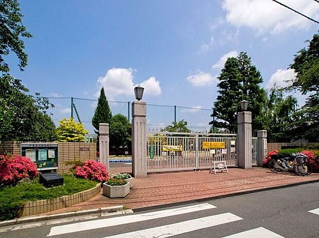 北浦和小学校(約250m)