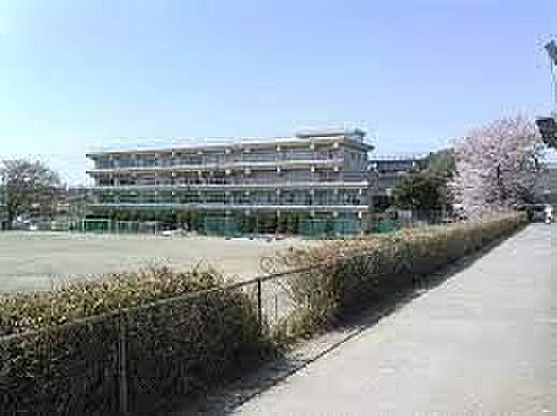 本太中学校(約800m)
