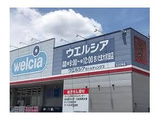 ウエルシアさいたま大和田店（約365m）