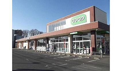 コープ大宮中川店 1251ｍ(徒歩16分)