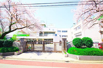 本太小学校 800m(徒歩10分)