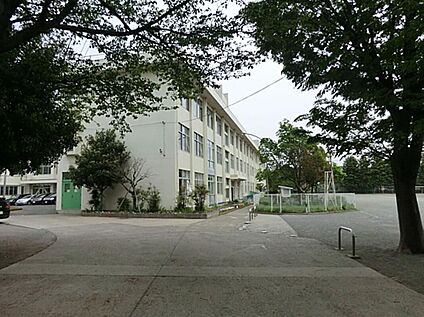 所沢市立所沢小学校 504m(徒歩7分)