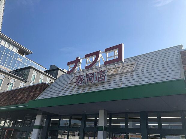 ナフコトミダ春岡店（約880m）