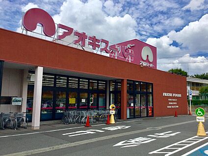 アオキスーパー豊明店 280ｍ(徒歩4分)