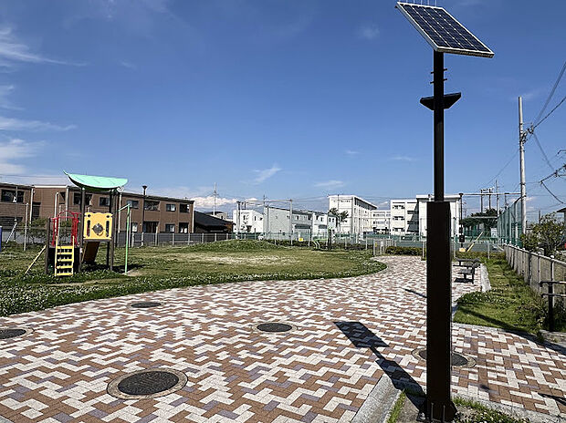大林緑の公園（約250m）