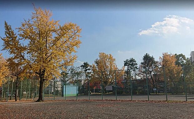 川中公園(約500m)