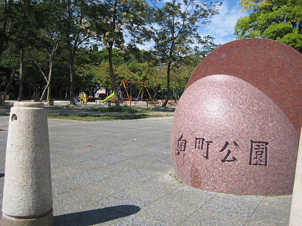 奥町公園(約2m)