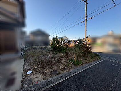現地写真（2026年3月）撮影