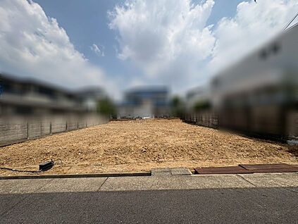 現地写真（2026年5月）撮影