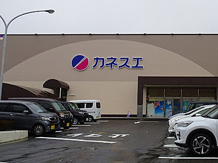 カネスエ中井田店 1,500ｍ(徒歩19分)