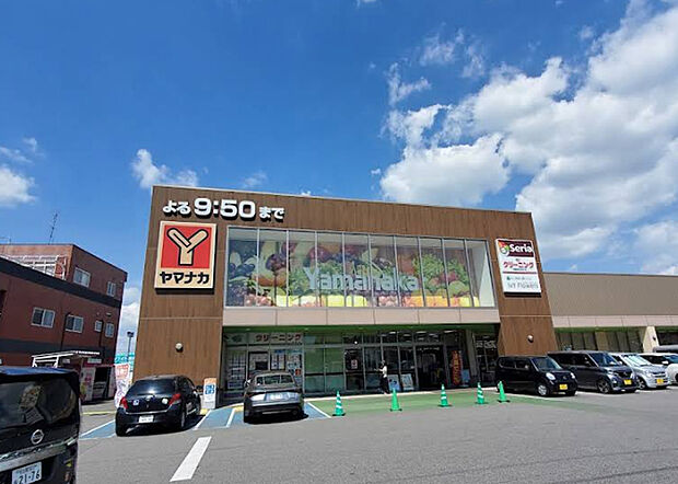 ヤマナカ東海店(約1m)