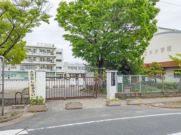 八潮市立松之木小学校（約315m）