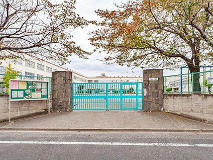 足立区立花畑西小学校 210m(徒歩3分)