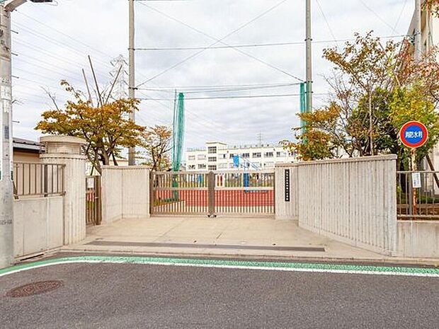 足立区立花畑第一小学校(約400m)