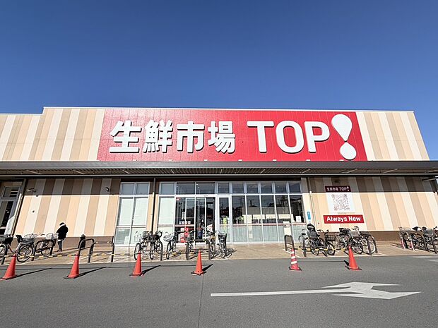 生鮮市場TOP八潮伊草店（約40m）