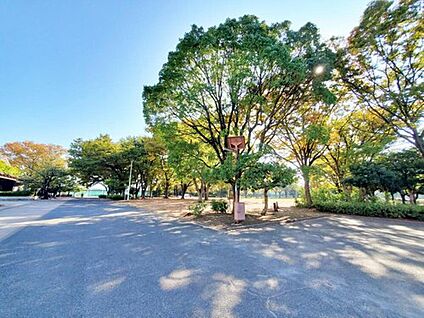 新小岩公園 2300ｍ(徒歩29分、自転車10分)