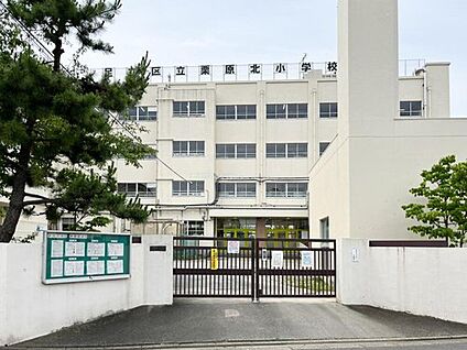 足立区立栗原北小学校 300m (徒歩4分)