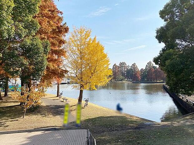 水元公園(約500m)