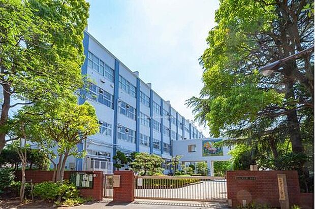 江戸川区立松江第一中学校(約1,100m)