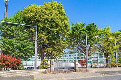 江戸川区立松江第四中学校 950ｍ(徒歩12分)