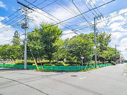 八潮中央公園 1000m(徒歩13分/自転車4分)