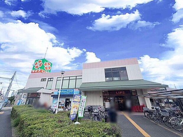ライフ水元店（約480m）