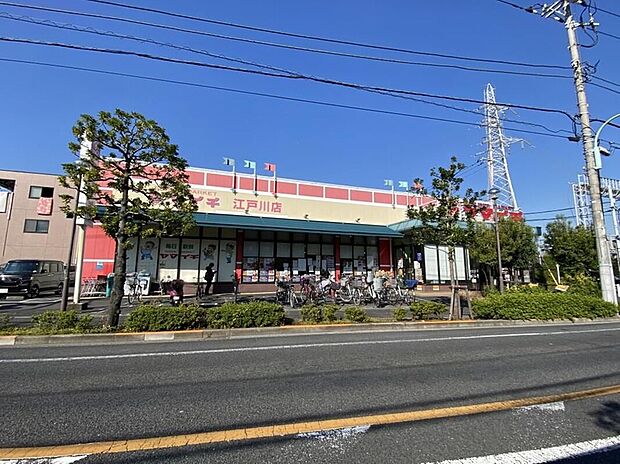 ヤマイチ江戸川店(約700m)