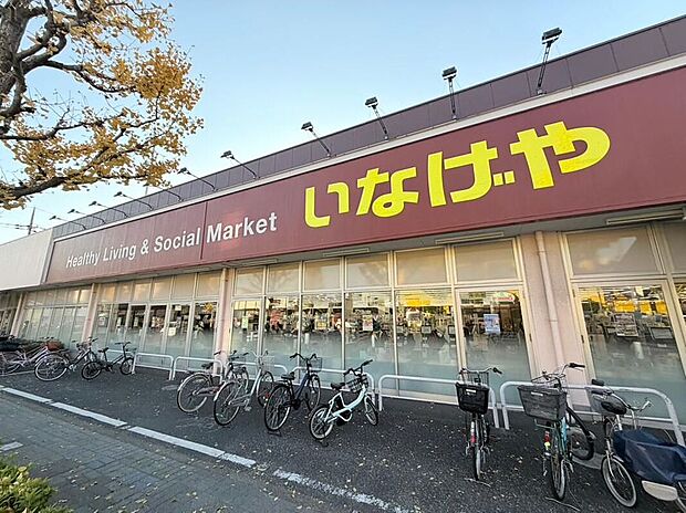 いなげや江戸川春江店（約600m）