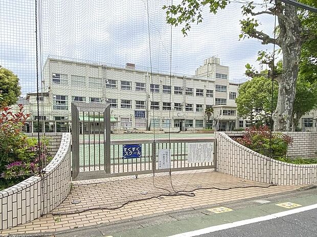 江戸川区立小岩小学校(約400m)