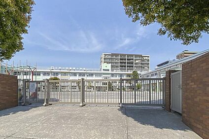 江戸川区立篠崎小学校 250ｍ(徒歩4分)