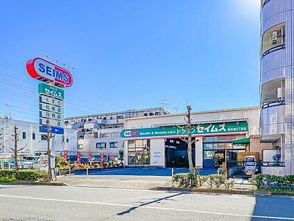 ドラッグセイムス南花畑2丁目店 750m(徒歩10分)