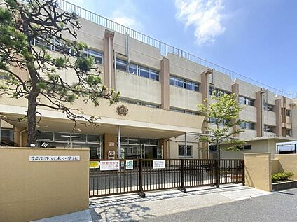 葛飾区立花の木小学校 550m(徒歩7分)