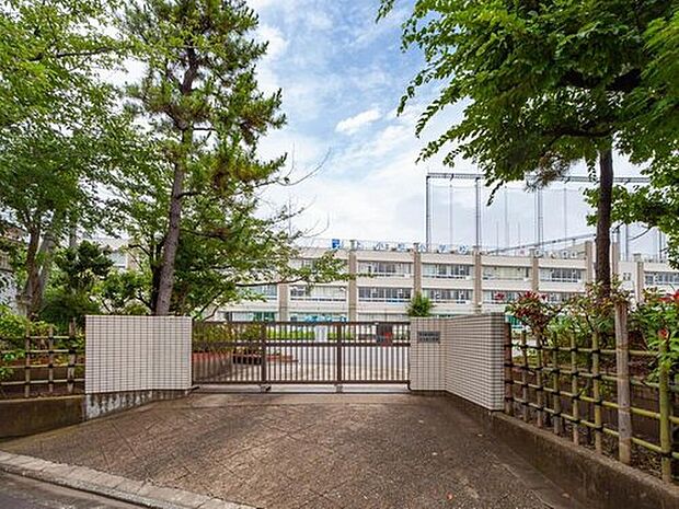 葛飾区立上小松小学校（約130m）