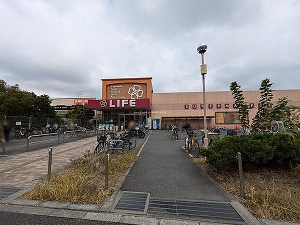 ライフ奥戸店（約450m）